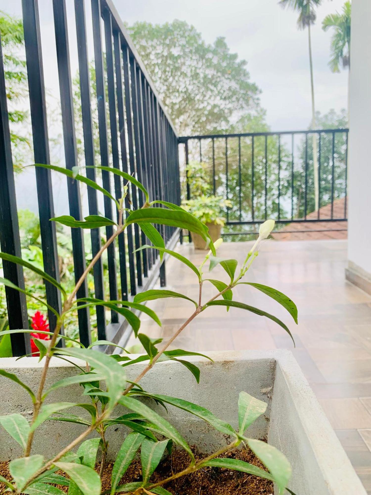 Broad View Apartment เอลลา ภายนอก รูปภาพ