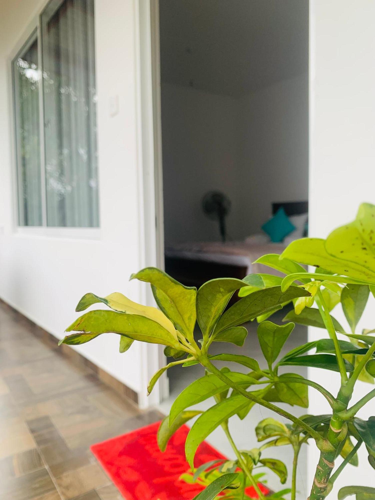 Broad View Apartment เอลลา ภายนอก รูปภาพ