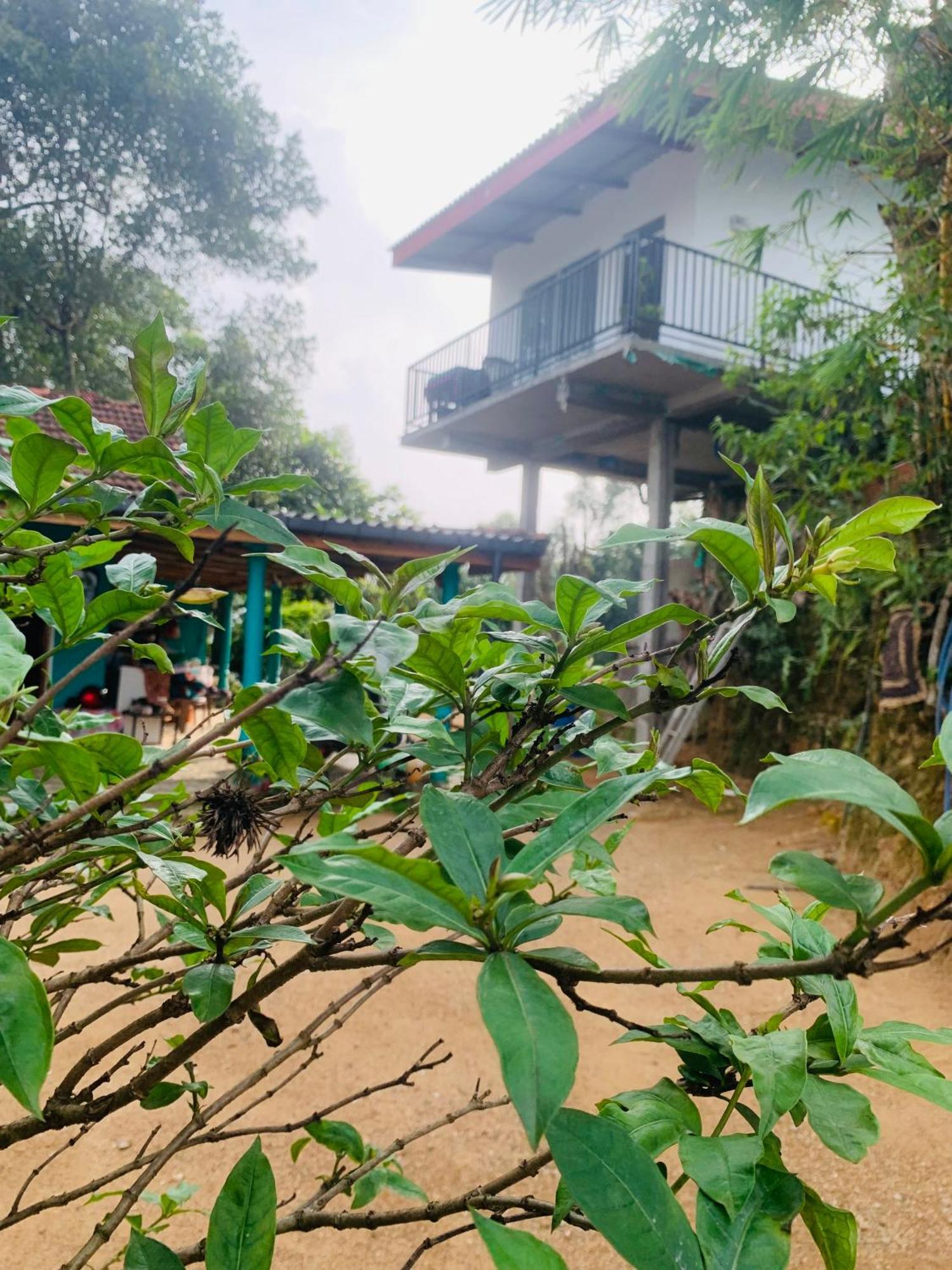 Broad View Apartment เอลลา ภายนอก รูปภาพ